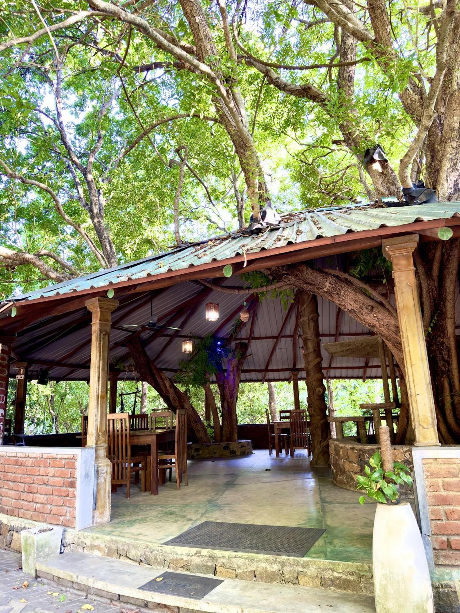 Birds Paradise Inn 우다왈라웨 외부 사진
