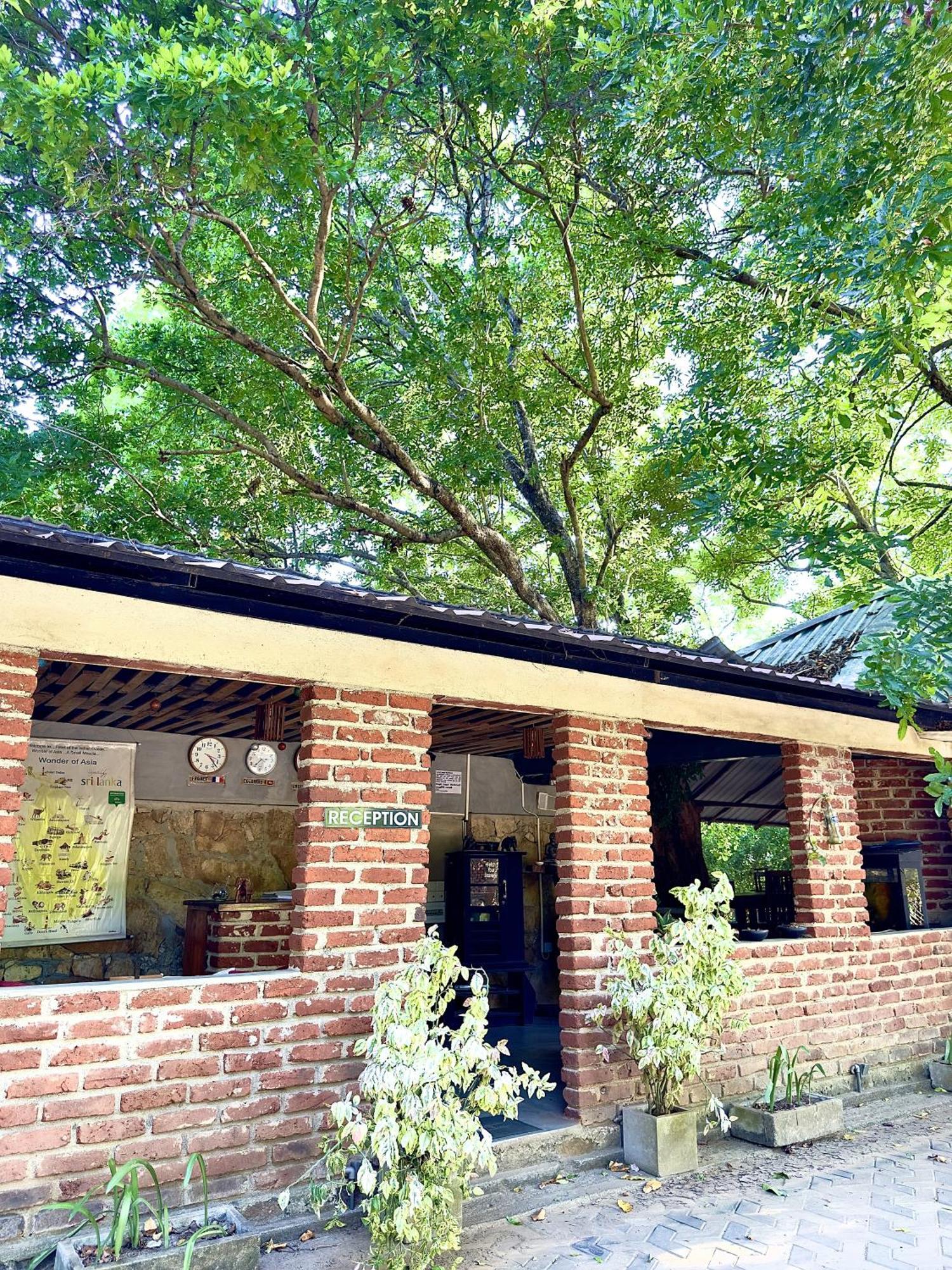 Birds Paradise Inn 우다왈라웨 외부 사진