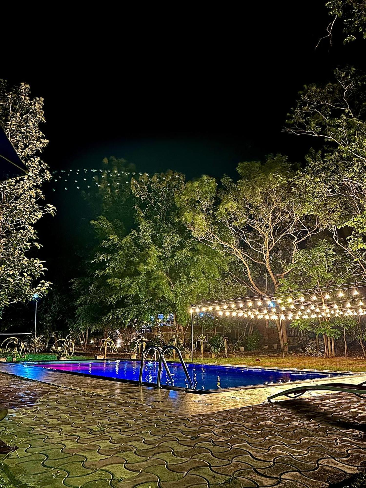 Birds Paradise Inn 우다왈라웨 외부 사진