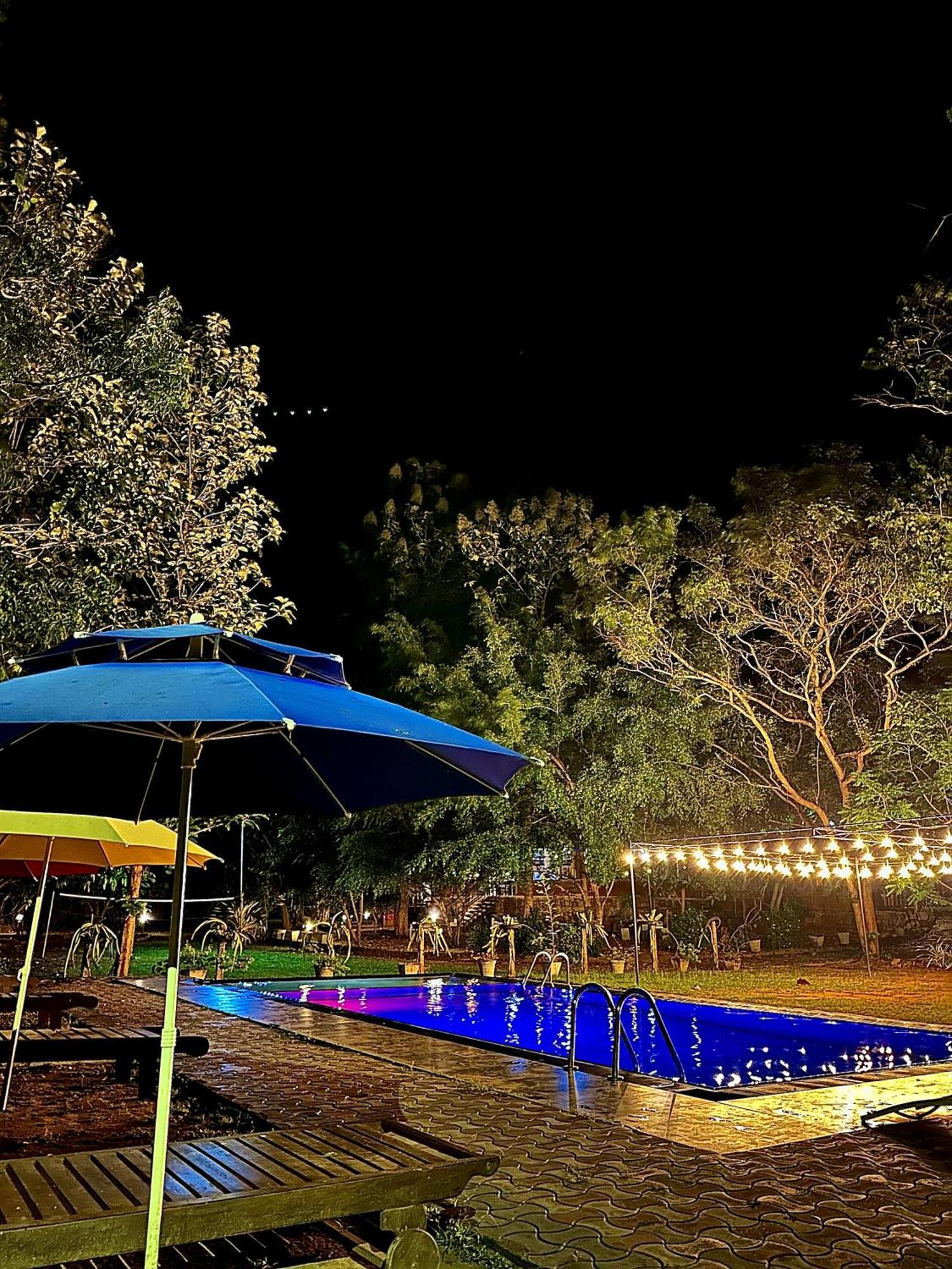 Birds Paradise Inn 우다왈라웨 외부 사진